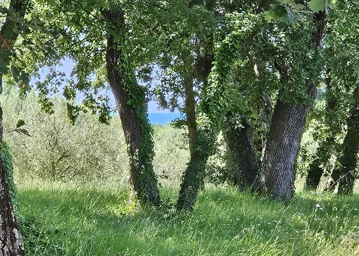 Apartamento Sofia Adria Poreč