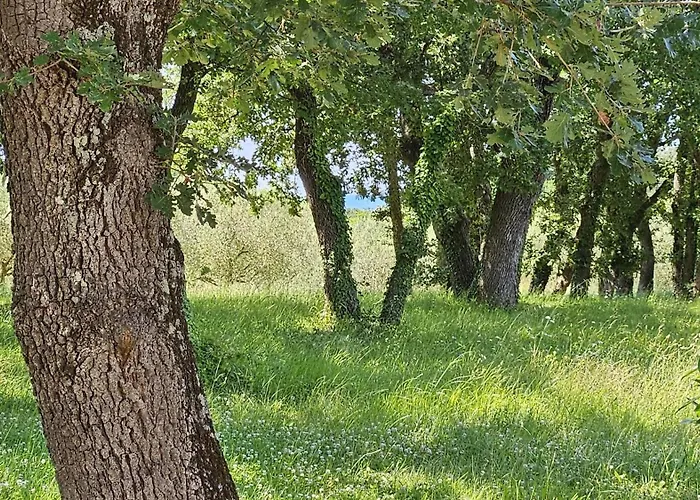 Sofia Adria Apartamento Poreč