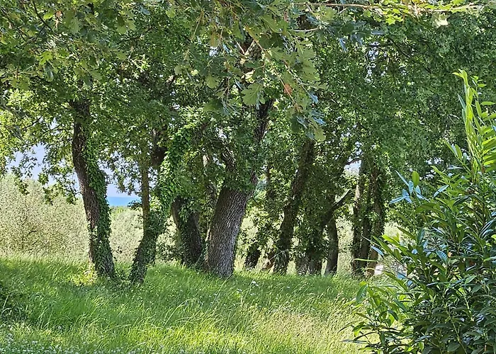 Sofia Adria Apartamento Poreč