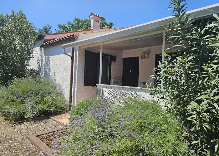 Apartamento Sofia Adria *