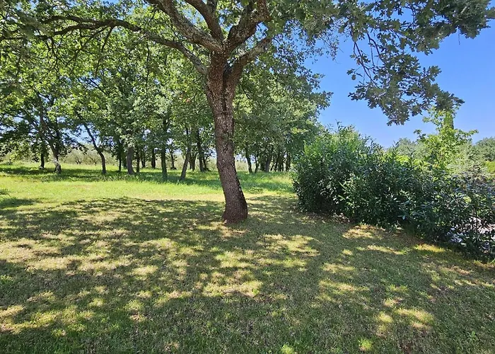 Sofia Adria 포레치